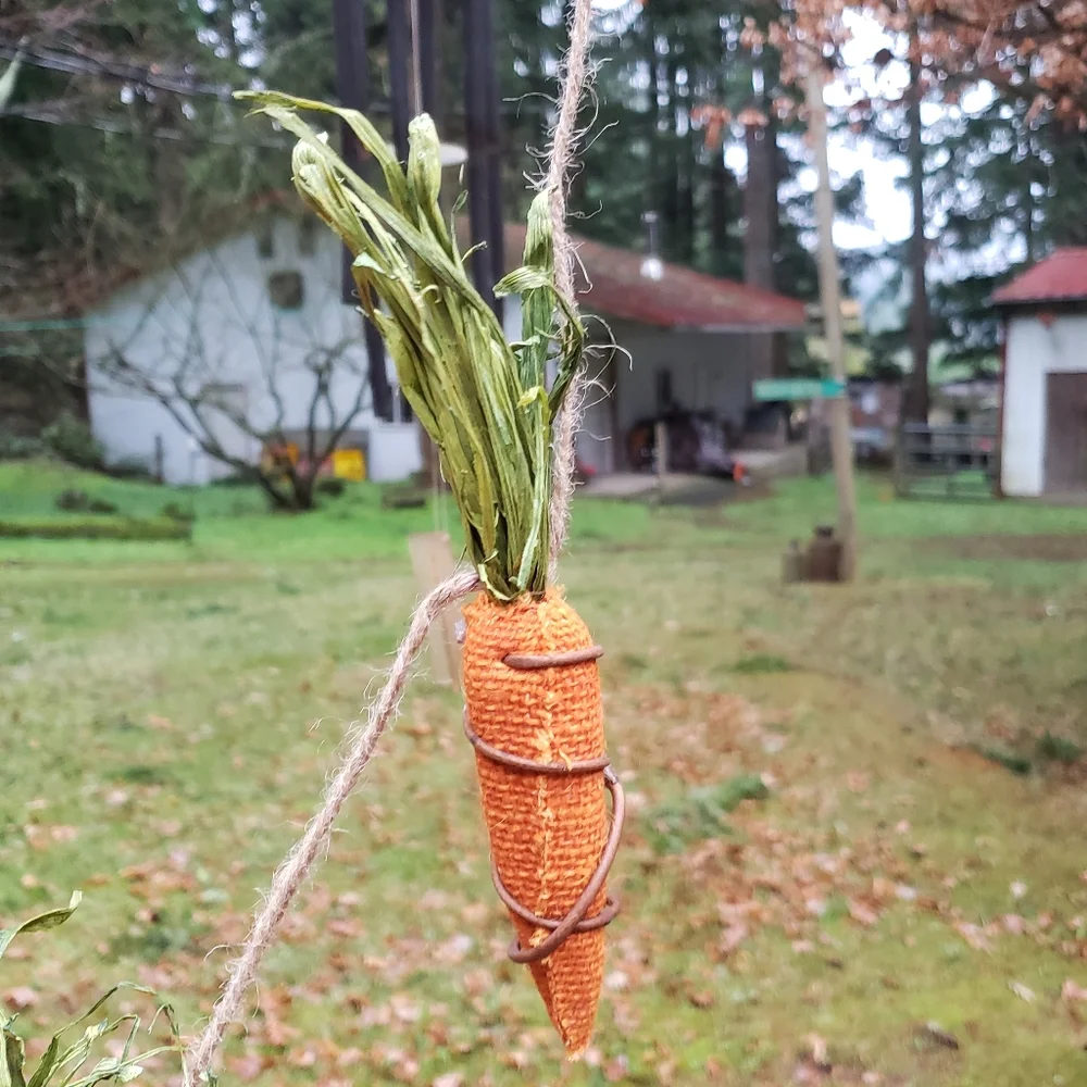 Source Unknown carrot garland